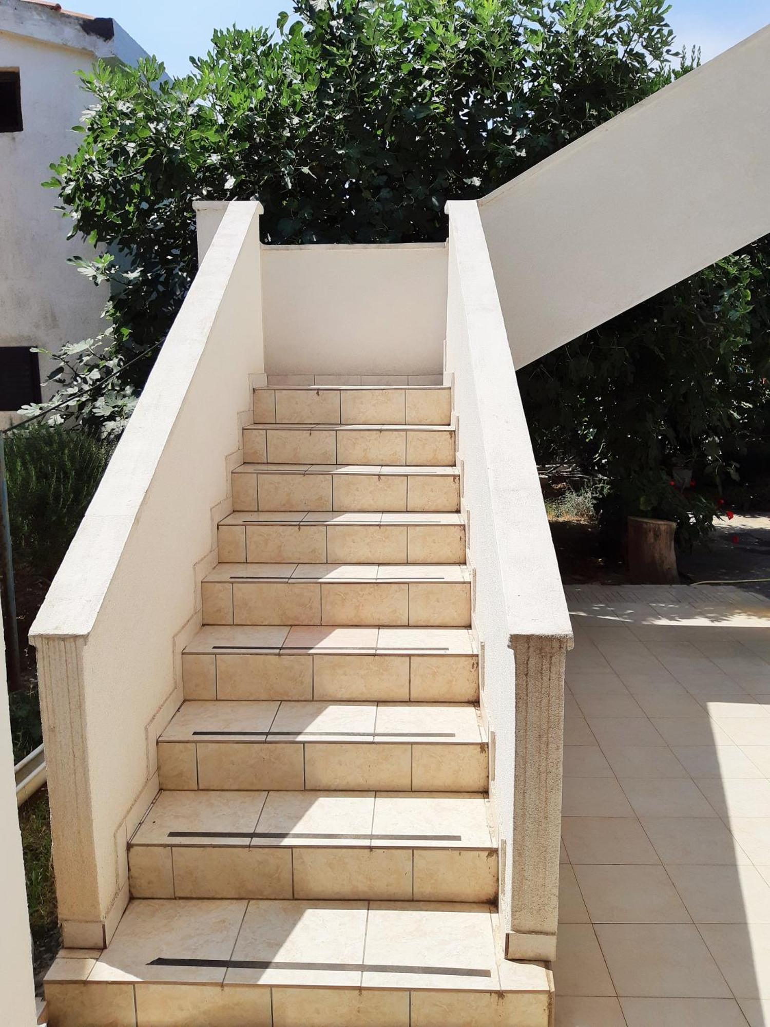 Dalmatino Apartmani Vir Quarto foto